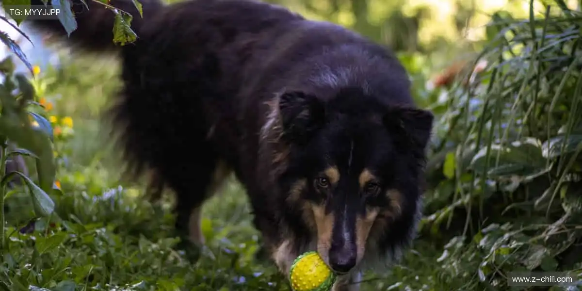 🏆 周边好物，点燃你的热爱！